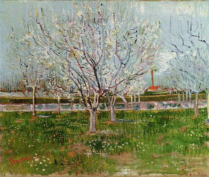 Vincent Van Gogh Bluhender Obstgarten Germany oil painting art